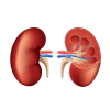 Diabetic Kidney Care